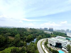 Normanton Park (D5), Apartment #480343331